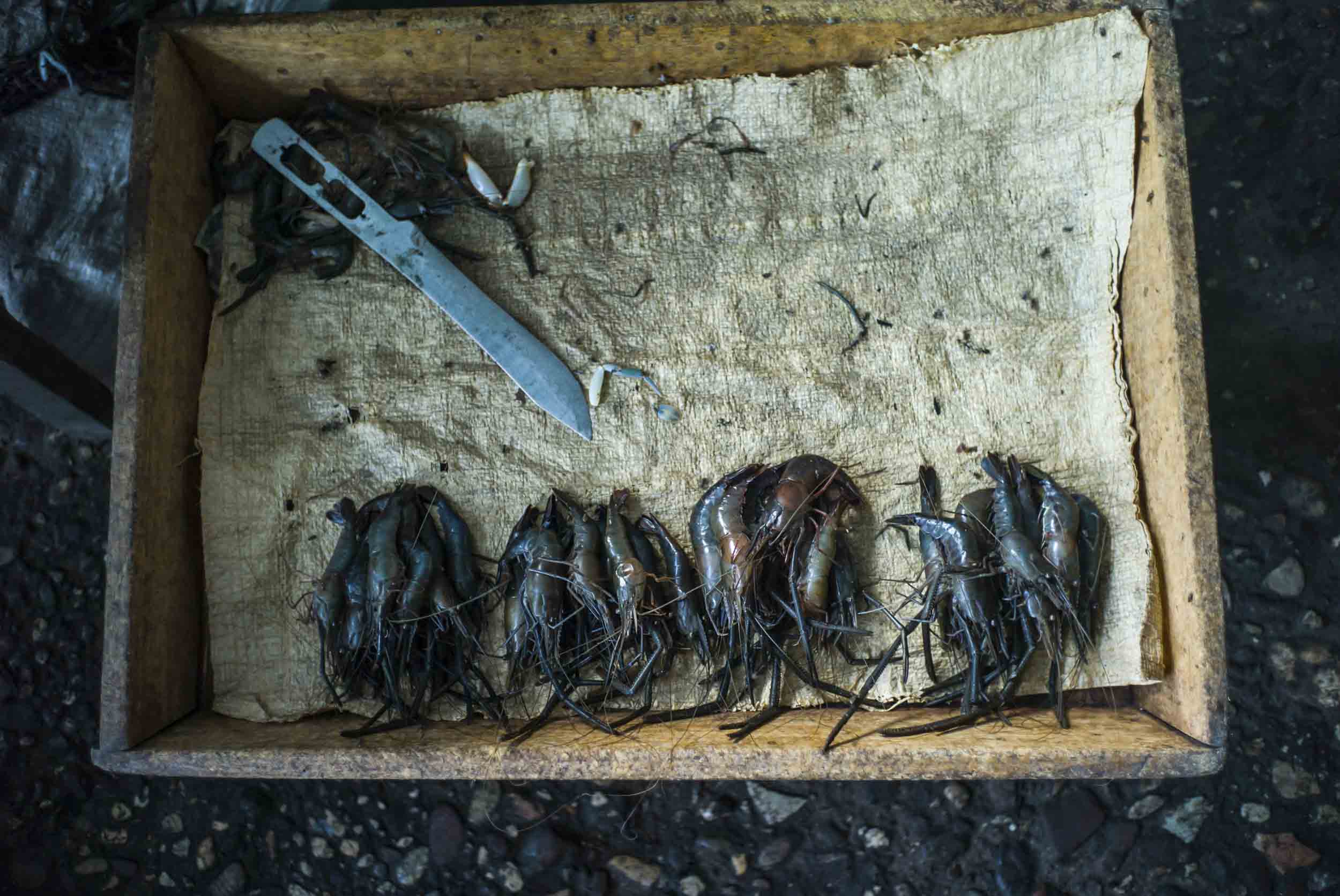 Seafood for sale in Les Cayes’ Central Market, 2016