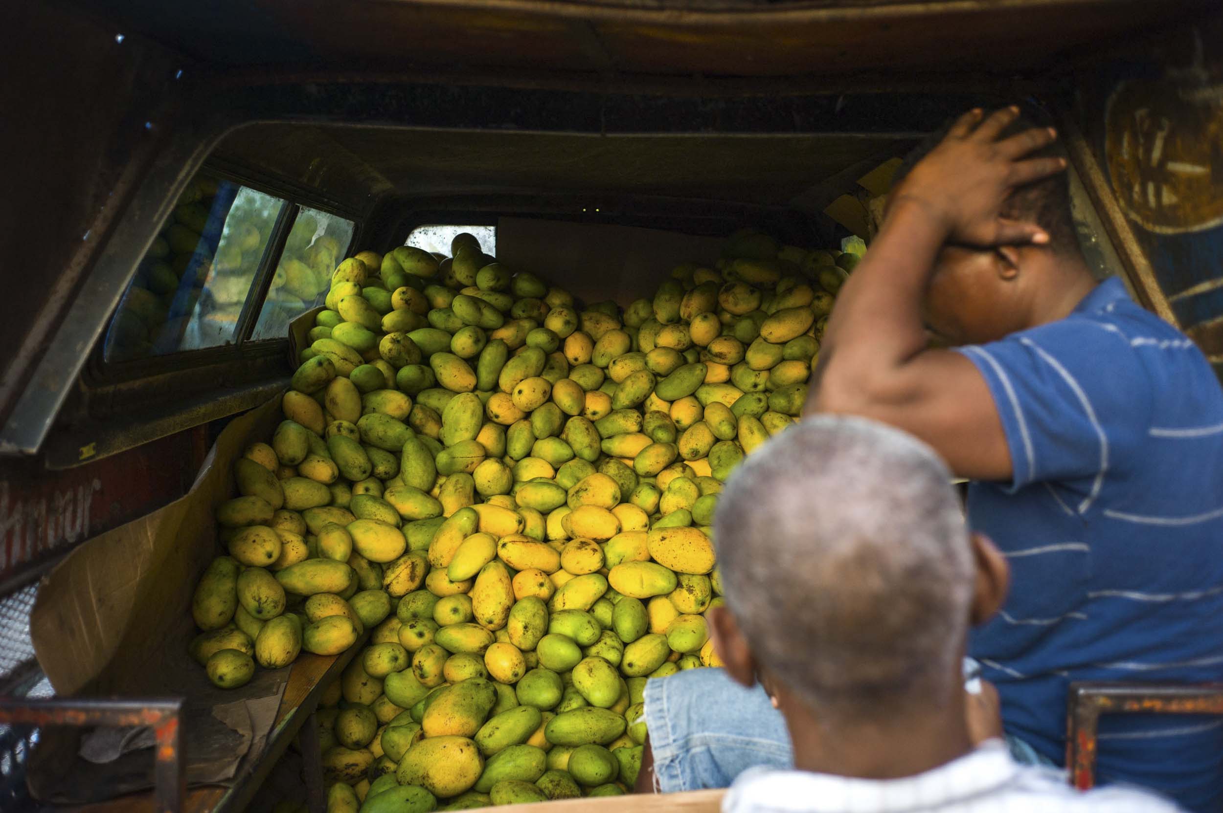 A truck laden with fresh mangos, central Port-au-Prince, 2016