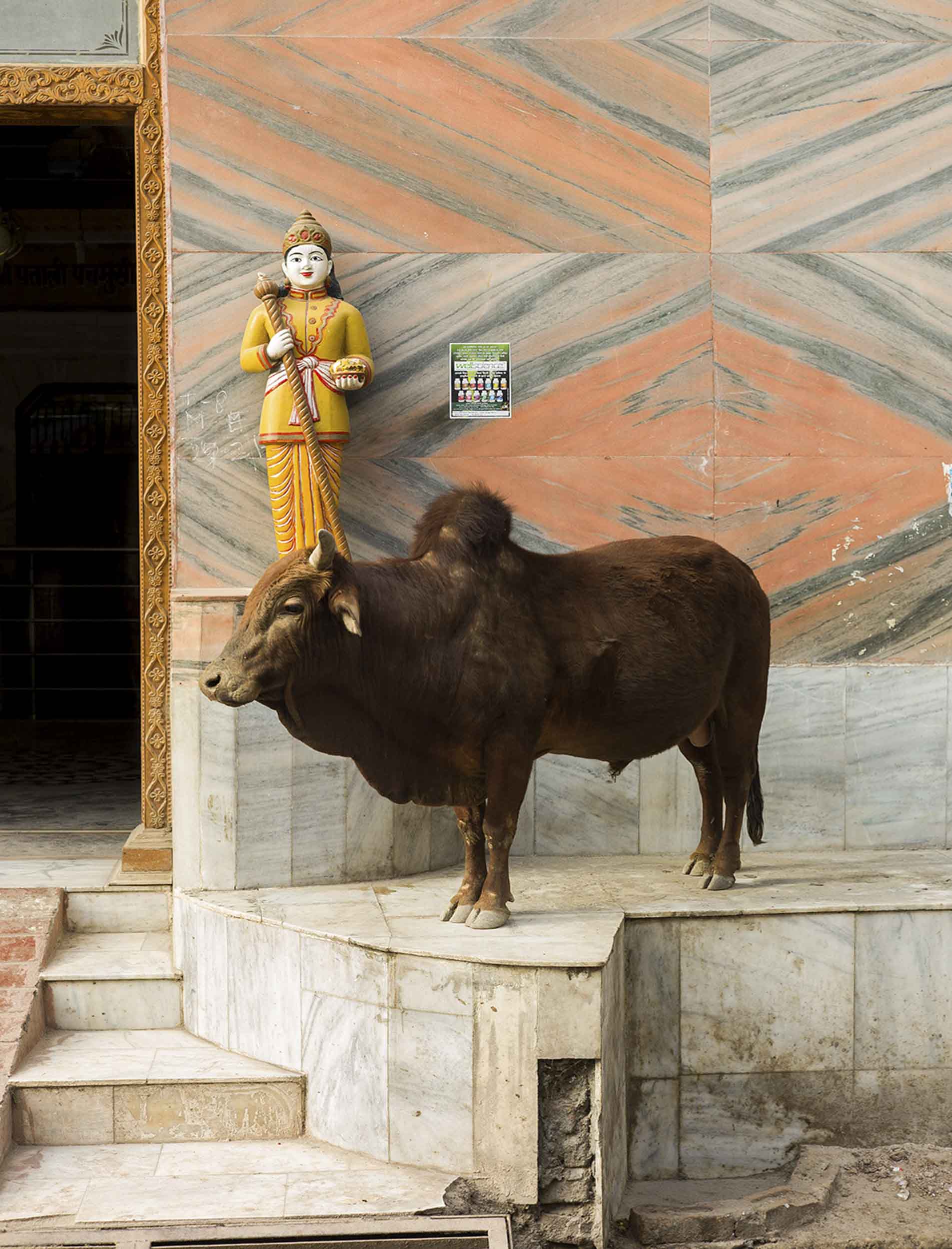 Outside a Hindu temple in Rishikesh, one of the country’s yoga capitals brought to international recognition by The Beatles’ 1968 visit to the Maharishi Mahesh Yogi, 2012