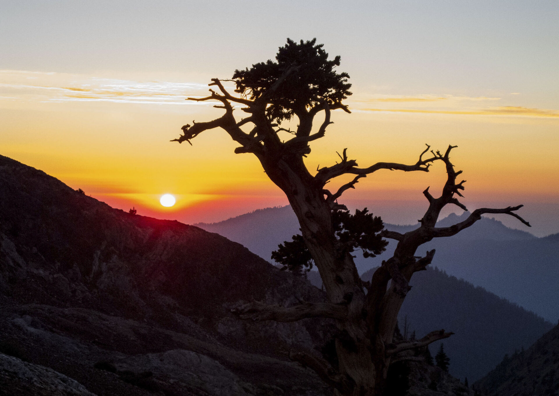 Near Franklin Lake, Sequoia National Park, California, 2013
