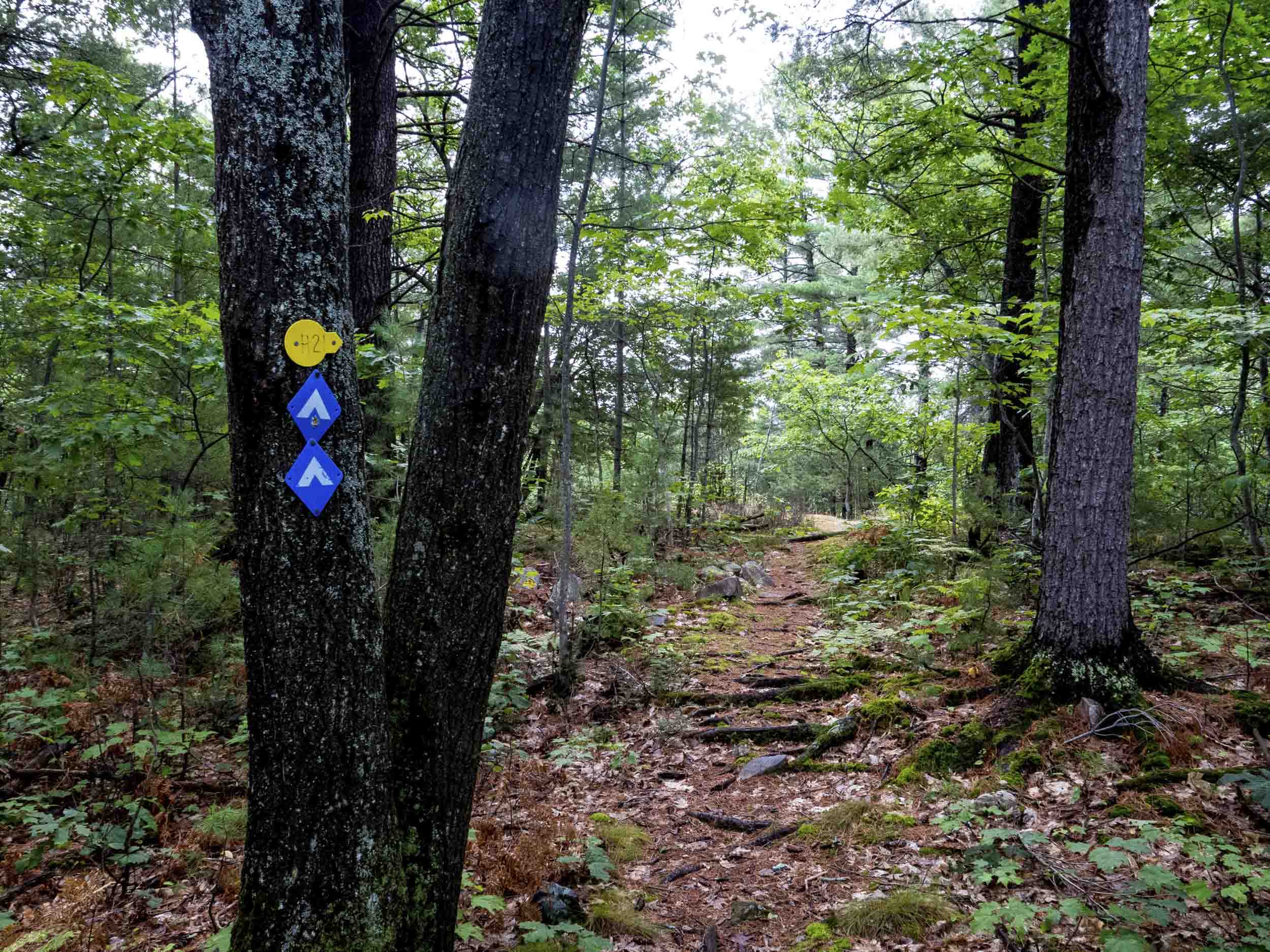 Killarney Provincial Park, Ontario, Canada, 2015