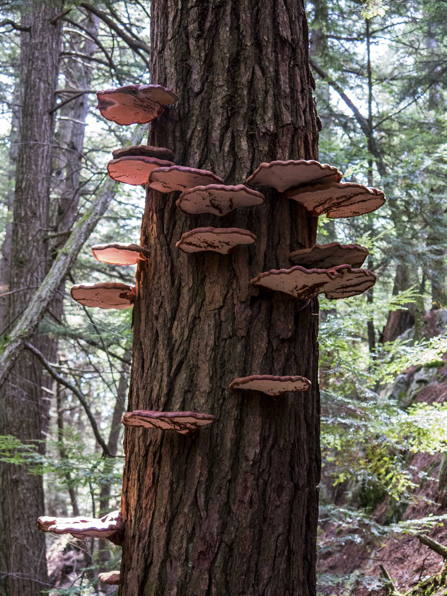 Killarney Provincial Park, Ontario, Canada, 2015