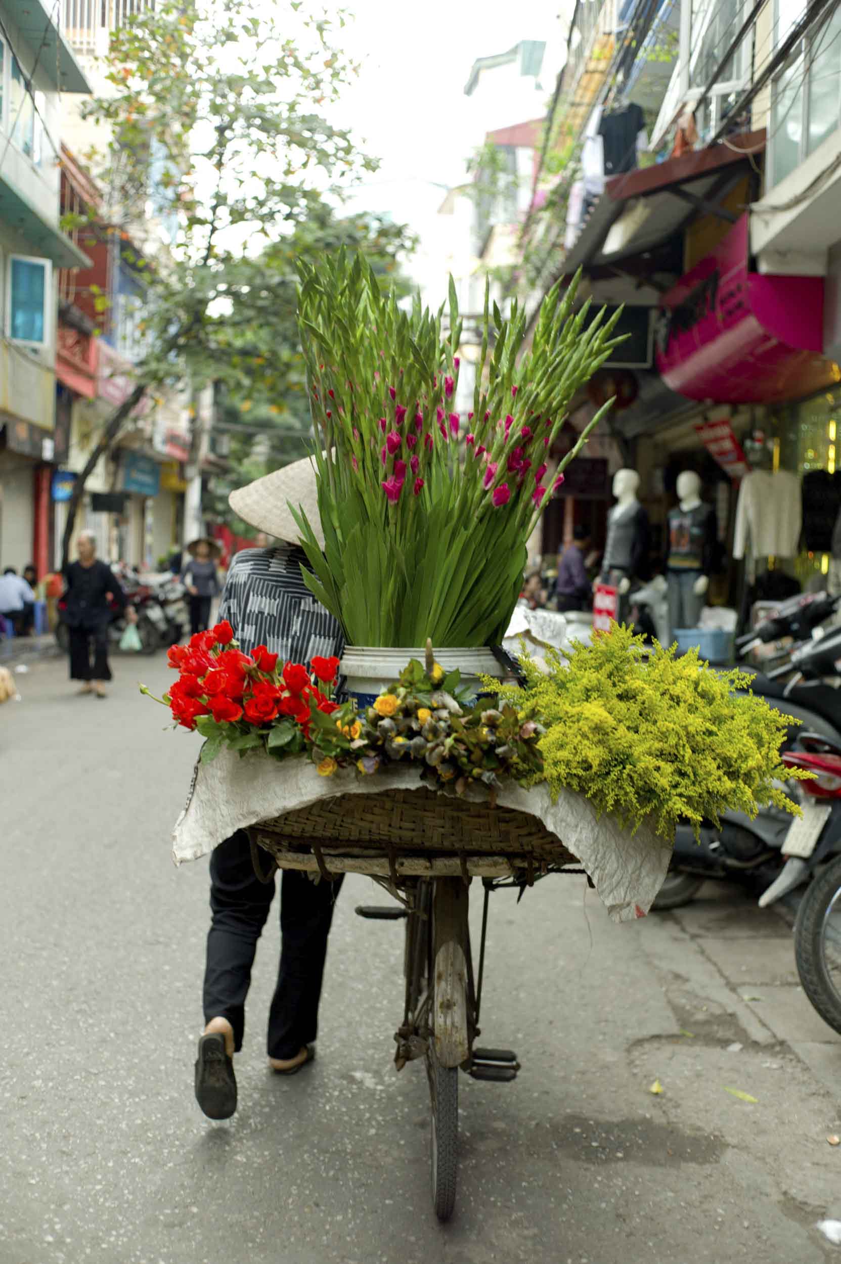 Hanoi, 2011
